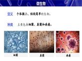 【人教版】七上生物  2.3.1 微生物的分布（课件+练习）