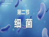 【人教版】七上生物  2.3.2 細(xì)菌（課件+練習(xí)）