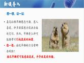【人教版】七上生物  2.3.2 細(xì)菌（課件+練習(xí)）