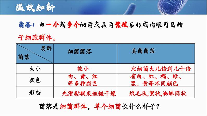 2.3.2+细菌第5页