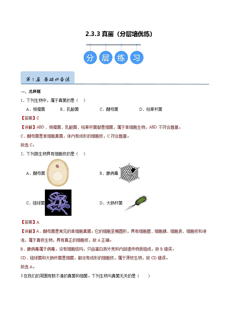 2.3.3 真菌（分层培优练）（解析版）第1页