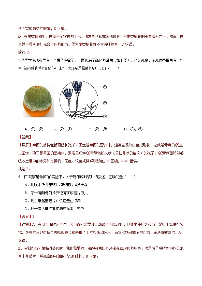 2.3.3 真菌（分层培优练）（解析版）第3页