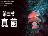 【人教版】七上生物  2.3.3 真菌（課件+練習(xí)）