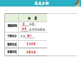【人教版】七上生物  2.3.3 真菌（課件+練習(xí)）
