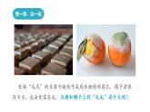 【人教版】七上生物  2.3.3 真菌（課件+練習(xí)）