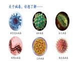 【人教版】七上生物  2.3.4 病毒（课件+练习）