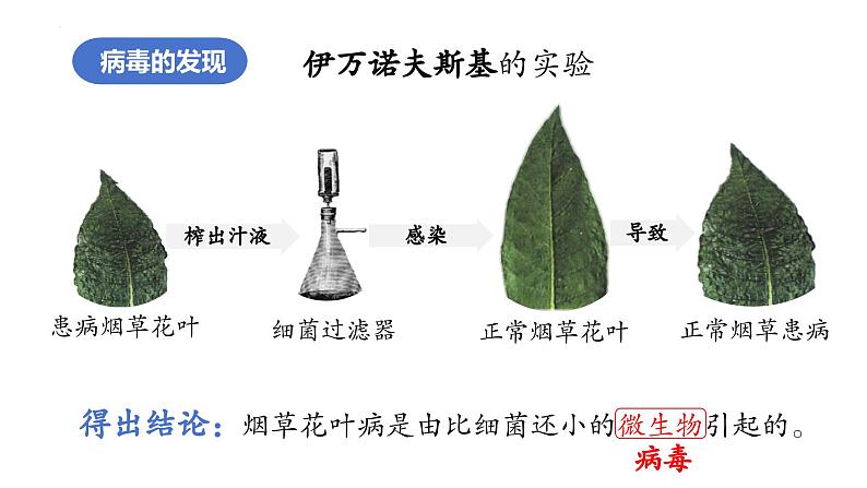 2.3.4+病毒第7页