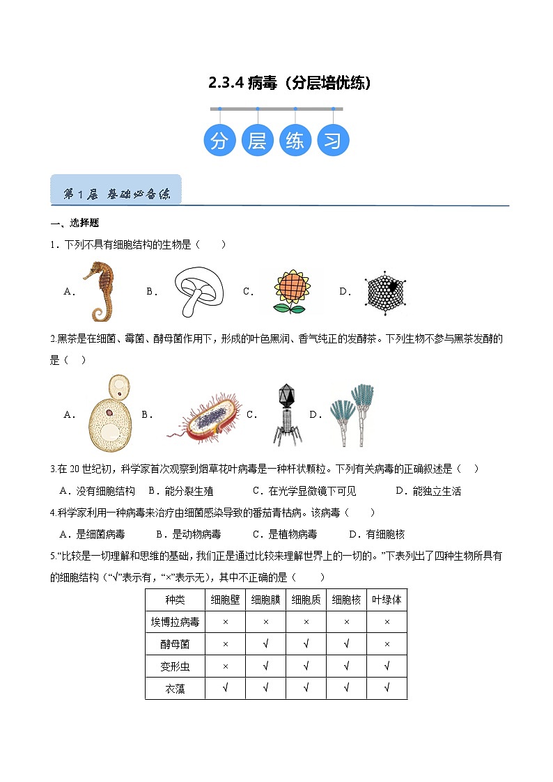 2.3.4 病毒（分层培优练）（原卷版）第1页