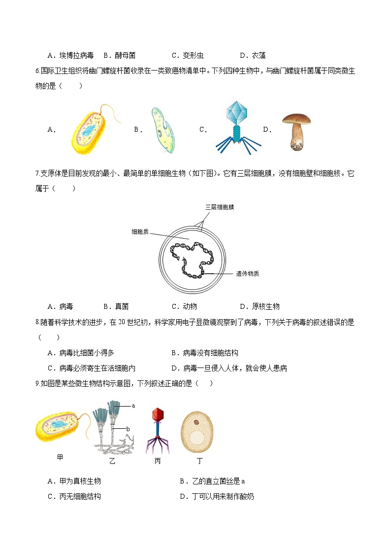 2.3.4 病毒（分层培优练）（原卷版）第2页