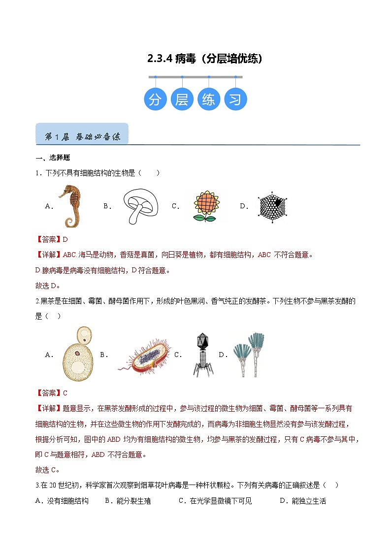 2.3.4 病毒（分层培优练）（解析版）第1页