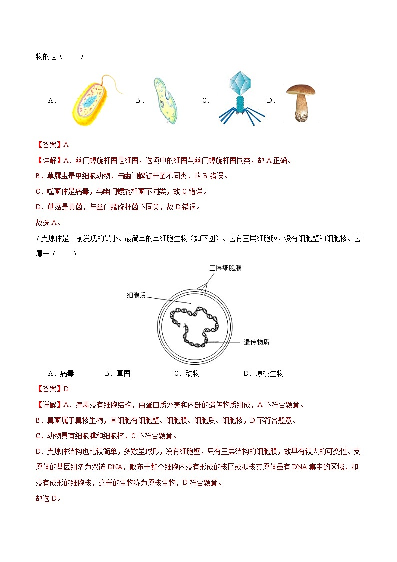 2.3.4 病毒（分层培优练）（解析版）第3页