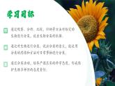 【人教版】七上生物  2.4.1 尝试对生物进行分类（课件+练习）