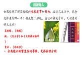 【人教版】七上生物  2.4.1 尝试对生物进行分类（课件+练习）