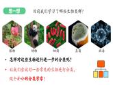 【人教版】七上生物  2.4.1 尝试对生物进行分类（课件+练习）