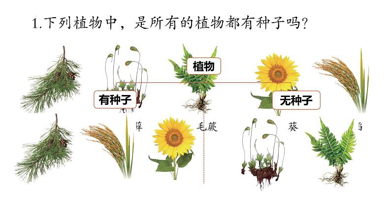 2.4.1+尝试对生物进行分类第7页