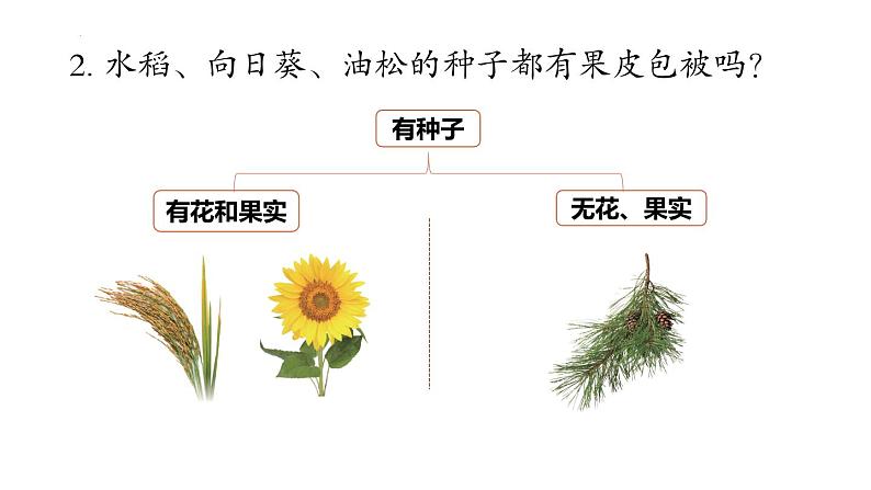 2.4.1+尝试对生物进行分类第8页