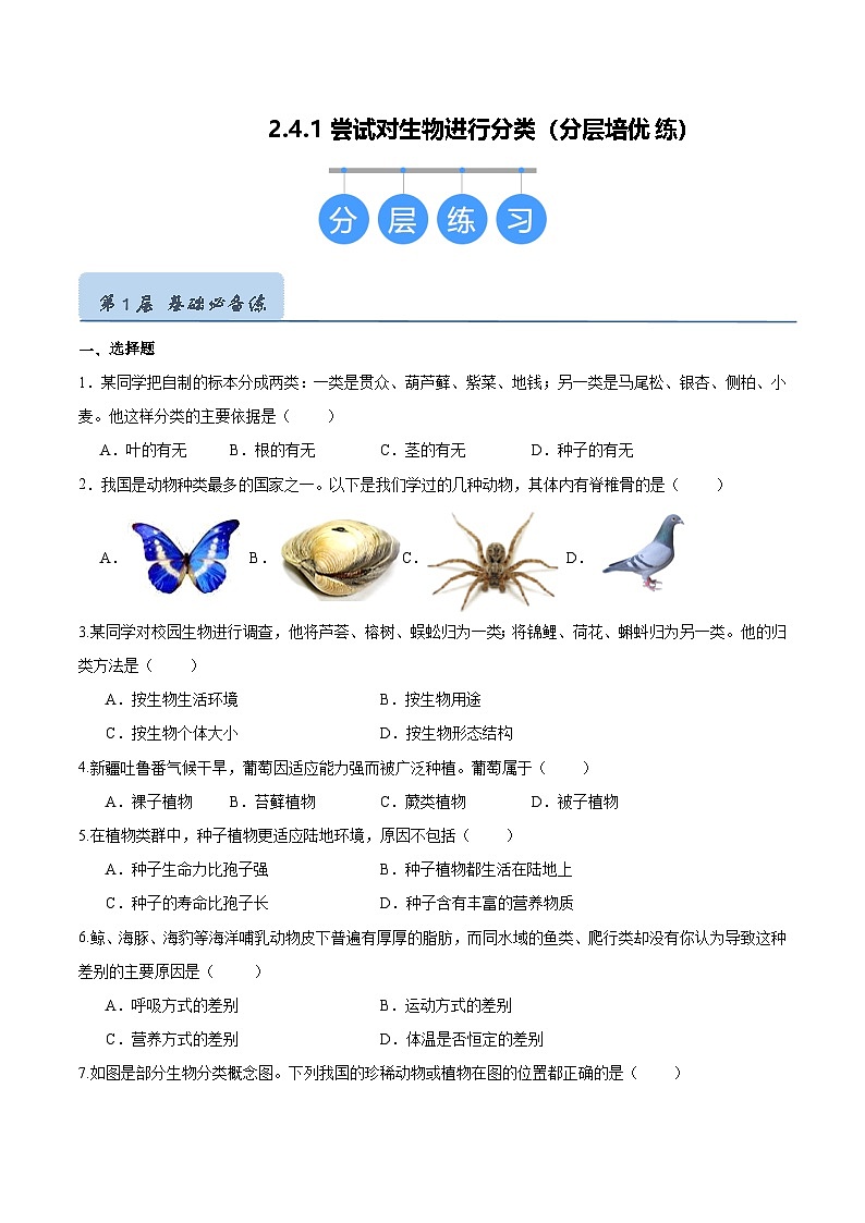 2.4.1 尝试对生物进行分类（分层培优练）（原卷版）第1页