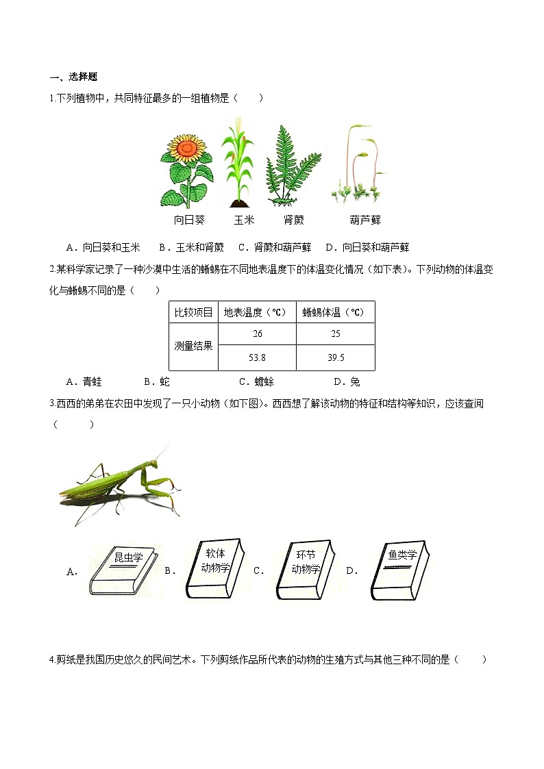 2.4.1 尝试对生物进行分类（分层培优练）（原卷版）第3页