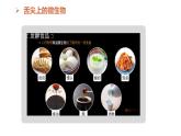 【人教版】七上生物  综合实践项目 利用细菌或真菌制作发酵食品（课件+练习）
