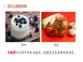 【人教版】七上生物  综合实践项目 利用细菌或真菌制作发酵食品（课件+练习）