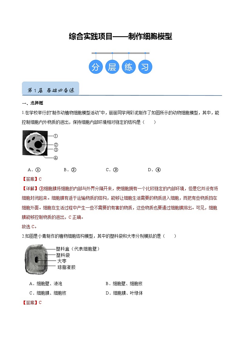 综合实践项目 制作细胞模型（分层培优练）（解析版）第1页