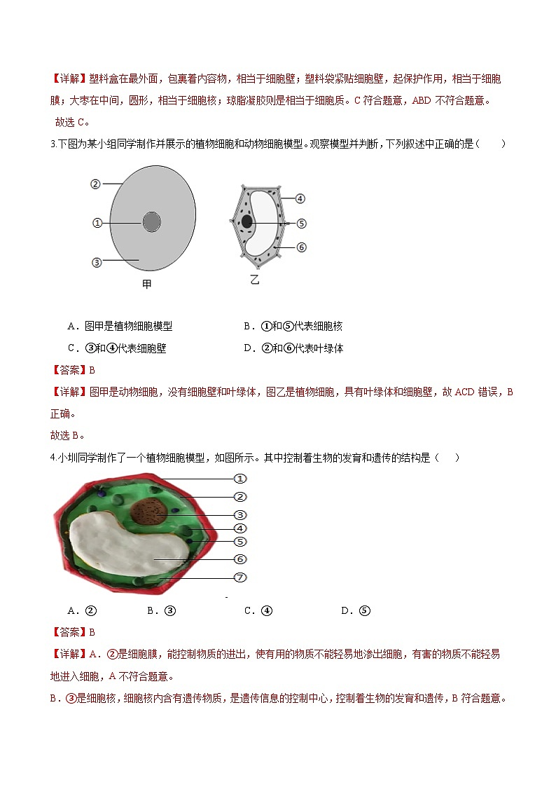 综合实践项目 制作细胞模型（分层培优练）（解析版）第2页