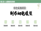 【人教版】七上生物  综合实践项目 制作细胞模型（课件+练习）