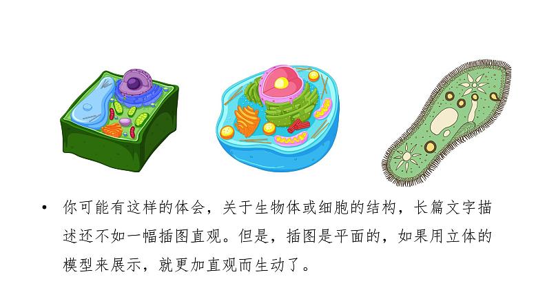 综合实践项目 制作细胞模型 第4页