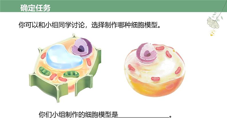 综合实践项目 制作细胞模型 第7页