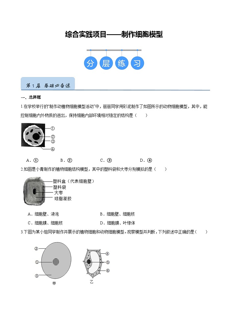 综合实践项目 制作细胞模型（分层培优练）（原卷版）第1页