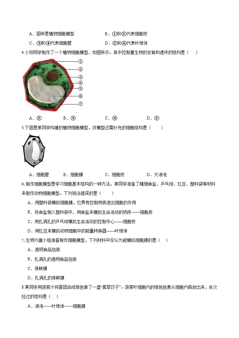 综合实践项目 制作细胞模型（分层培优练）（原卷版）第2页