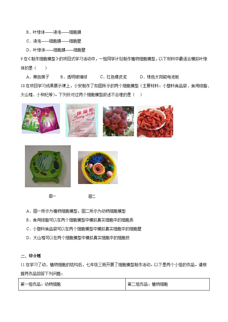 综合实践项目 制作细胞模型（分层培优练）（原卷版）第3页