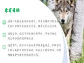 【人教版】七上生物  2.4.2 從種到界（課件+練習）