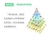 【人教版】七上生物  2.4.2 從種到界（課件+練習）
