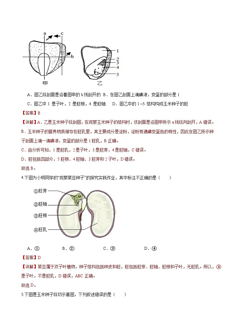 2.1.2 种子植物（解析版）第2页