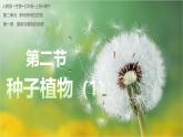 【人教版】七上生物  2.1.2 种子植物（课件+练习）