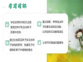 【人教版】七上生物  2.1.2 种子植物（课件+练习）