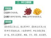 【人教版】七上生物  2.1.2 种子植物（课件+练习）