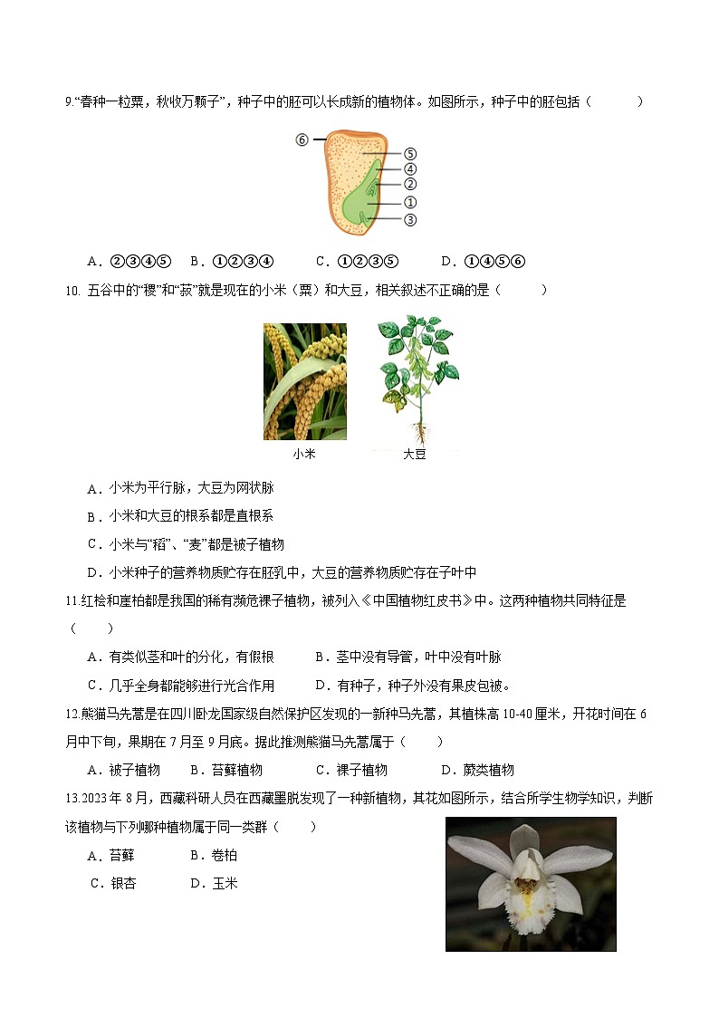 2.1.2 种子植物（原卷版）第3页