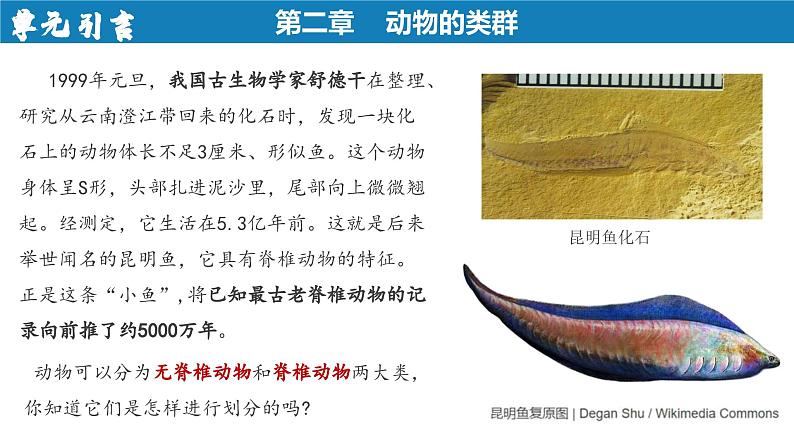 2.2.1+无脊椎动物第2页