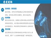 【人教版】七上生物  2.2.1 无脊椎动物（课件+练习）