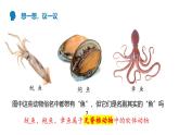 【人教版】七上生物  2.2.1 无脊椎动物（课件+练习）