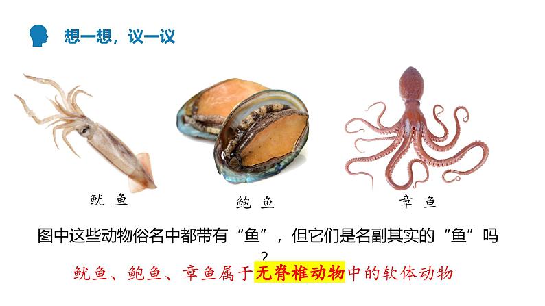 2.2.1+无脊椎动物第5页