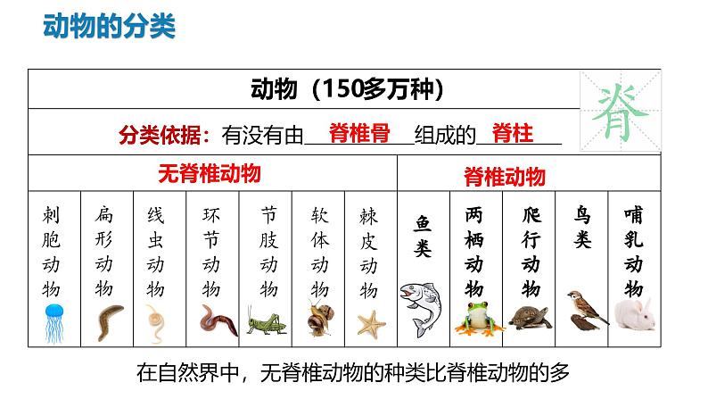 2.2.1+无脊椎动物第6页