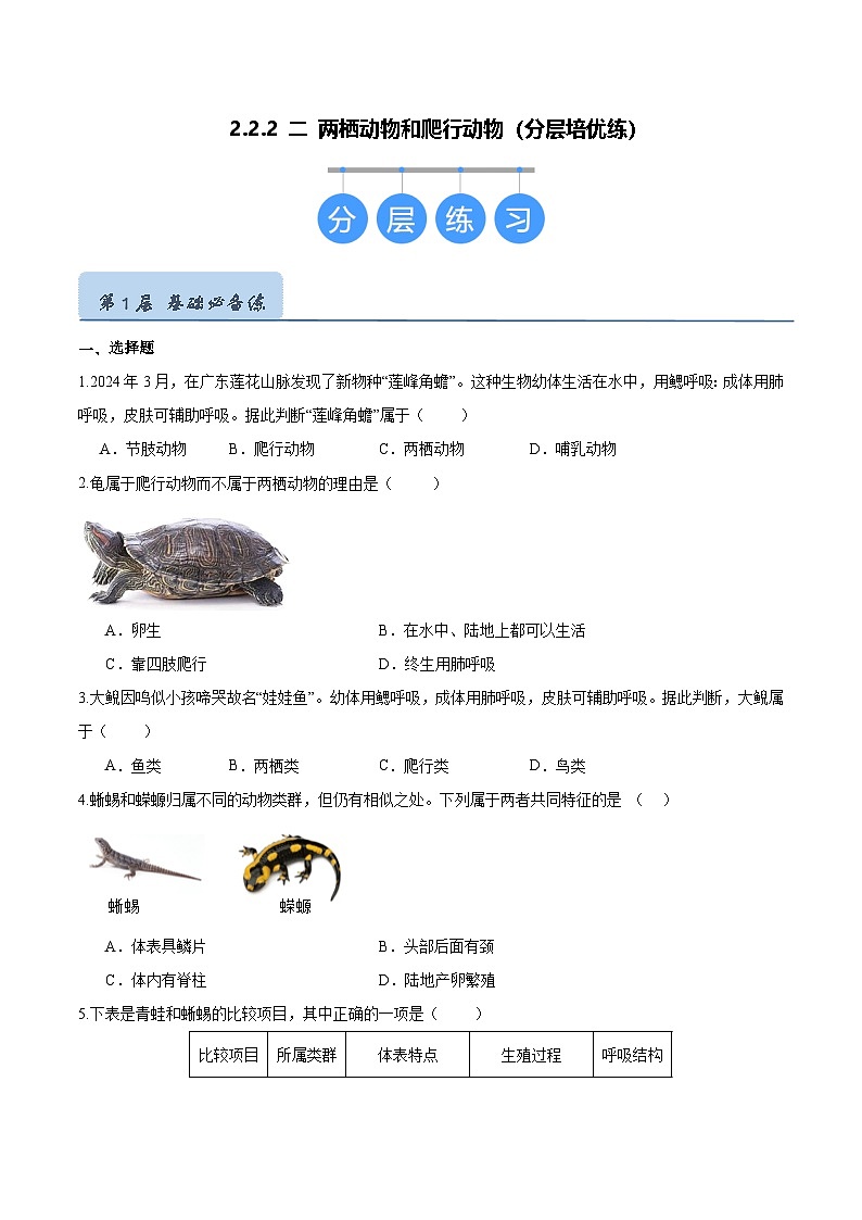2.2.2 脊椎动物（二）两栖动物和爬行动物（分层培优练）（原卷版）第1页