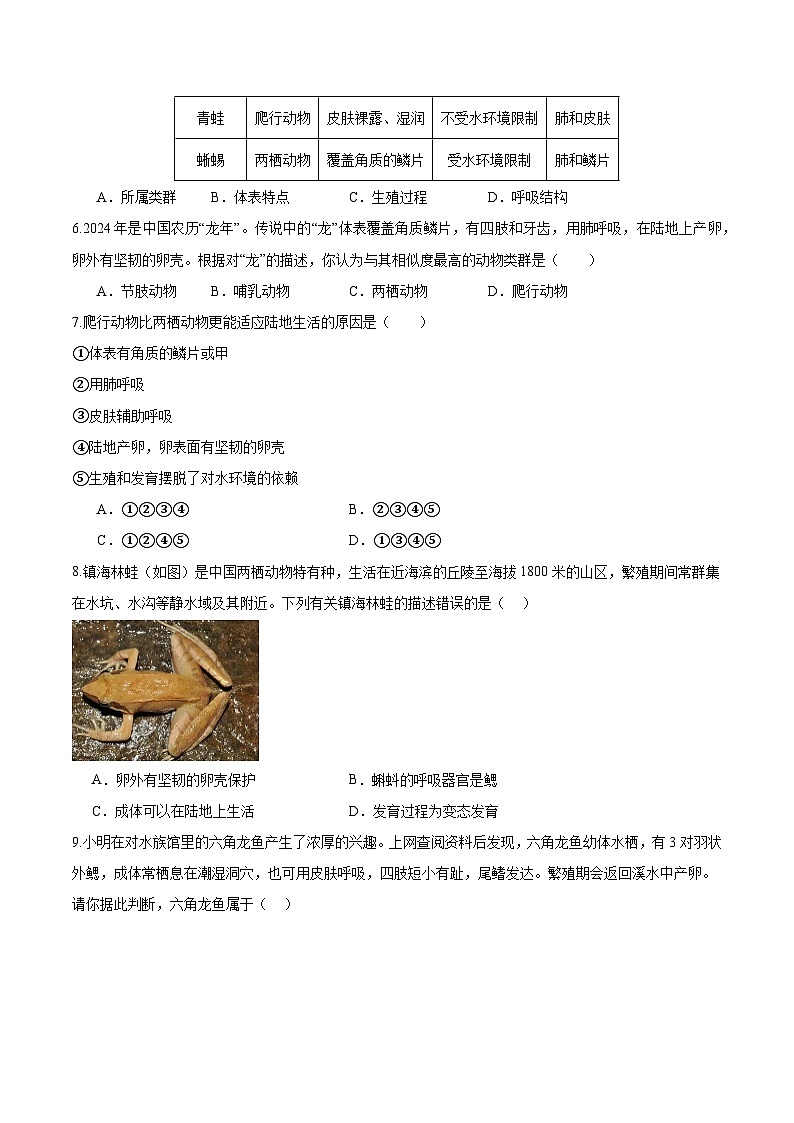2.2.2 脊椎动物（二）两栖动物和爬行动物（分层培优练）（原卷版）第2页