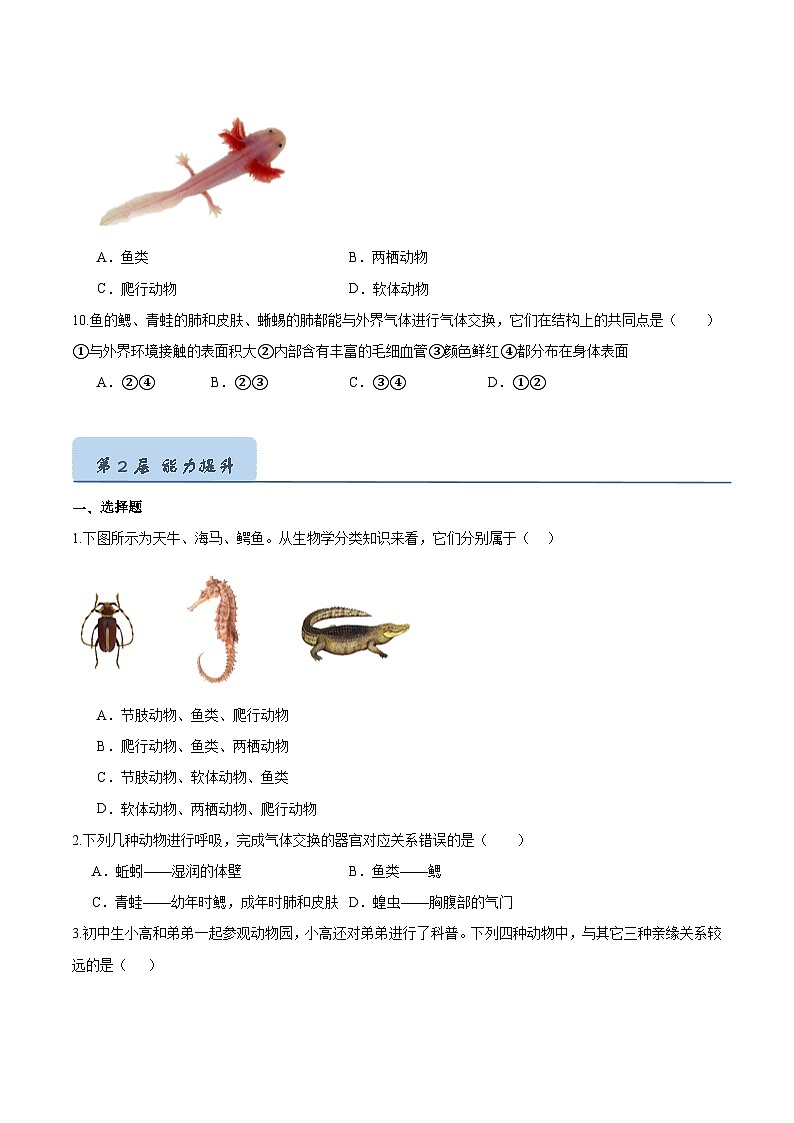 2.2.2 脊椎动物（二）两栖动物和爬行动物（分层培优练）（原卷版）第3页
