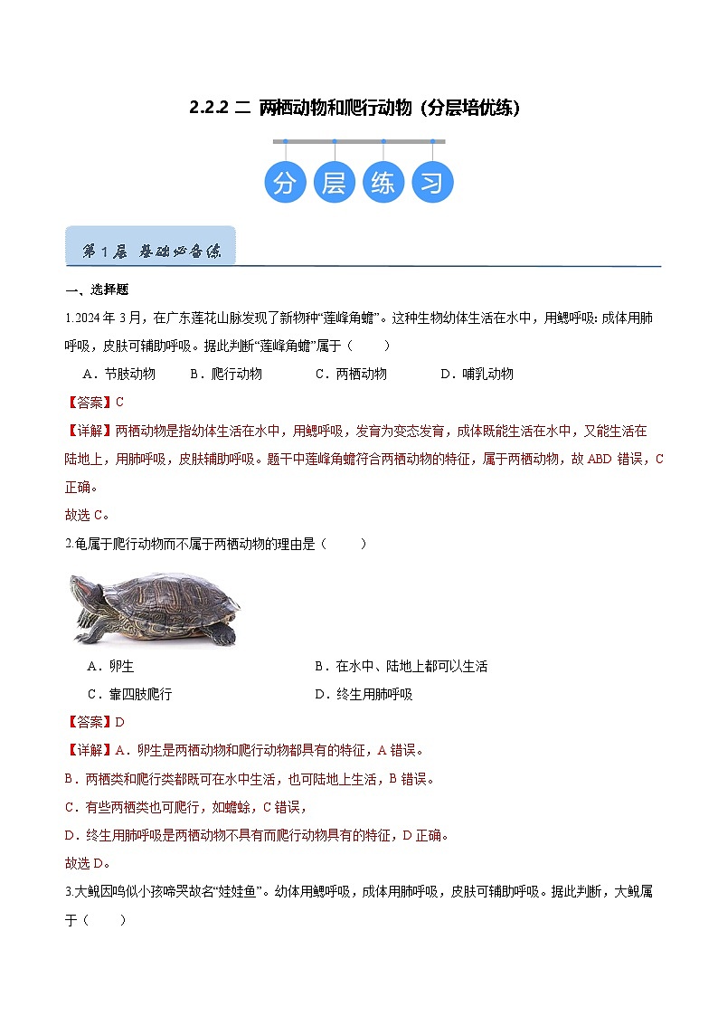 2.2.2 脊椎动物（二）两栖动物和爬行动物（分层培优练）（解析版）第1页