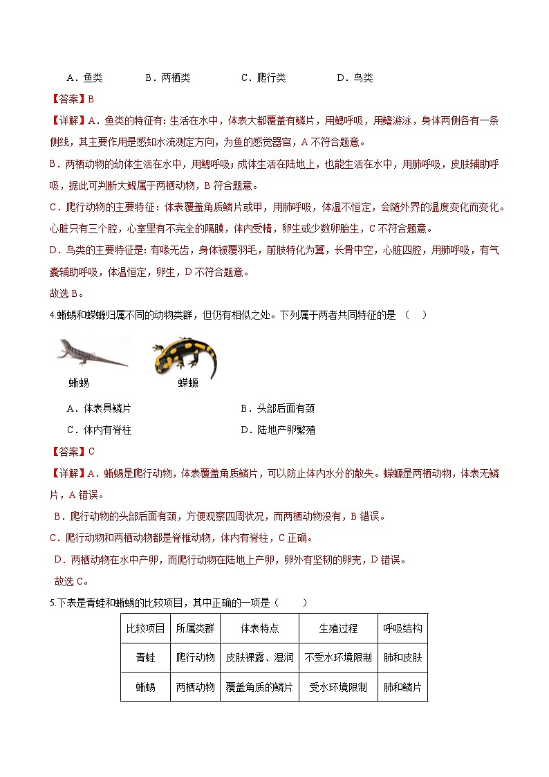 2.2.2 脊椎动物（二）两栖动物和爬行动物（分层培优练）（解析版）第2页