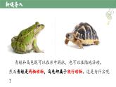 【人教版】七上生物  2.2.2 脊椎动物（二）两栖动物和爬行动物（课件+练习）